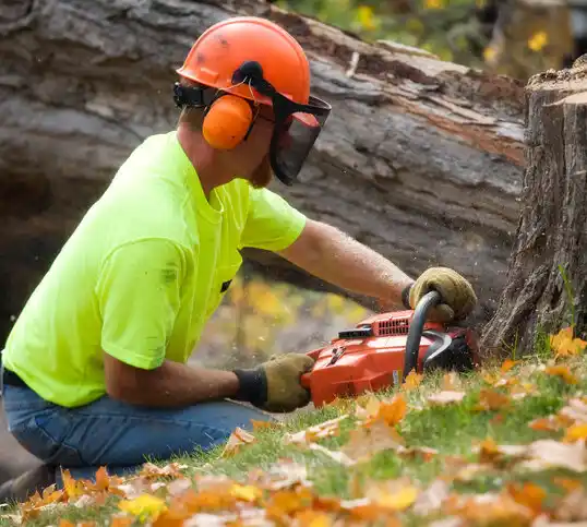 tree services Frontenac